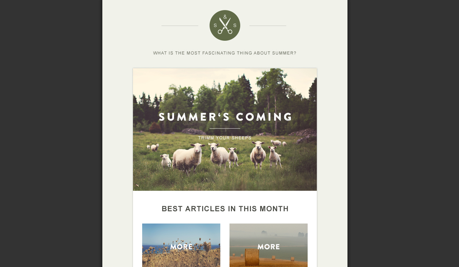 The Best Free MailChimp Templates for Bloggers - Green Village