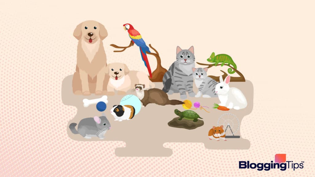 image showing a what looks to be a header for a blog about pets