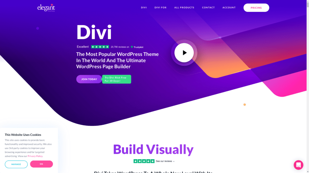 screenshot of the divi homepage