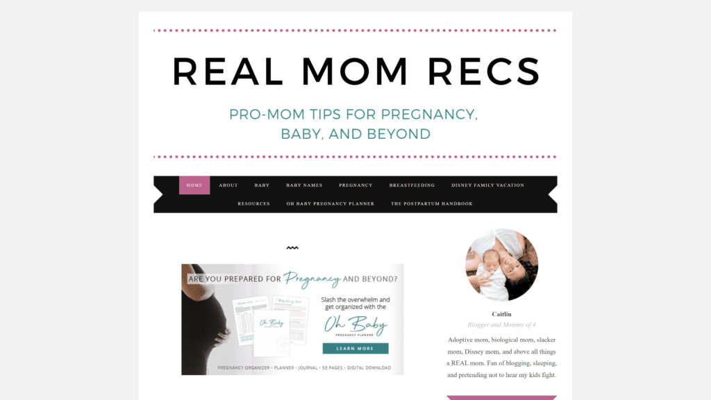 screenshot of the real mom recs homepage