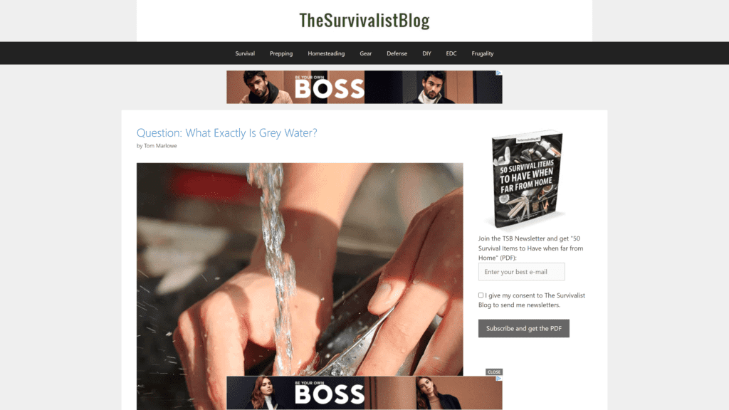 screenshot of the survivalist blog homepage