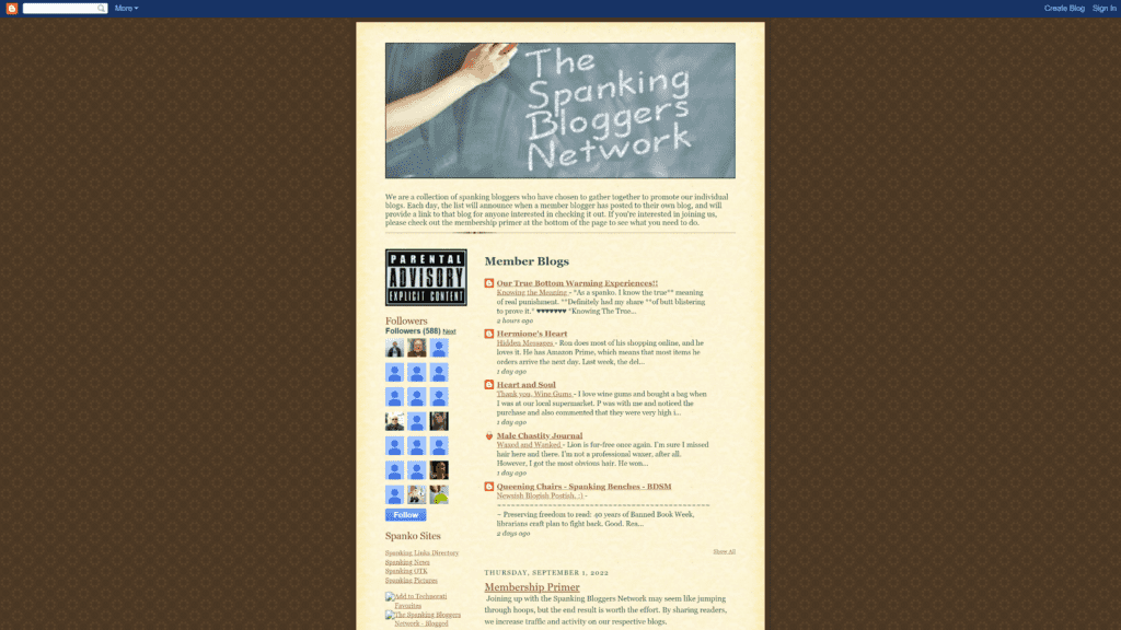 screenshot of the spanking bloggers network homepage