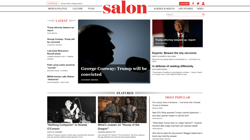 screenshot of the salon homepage
