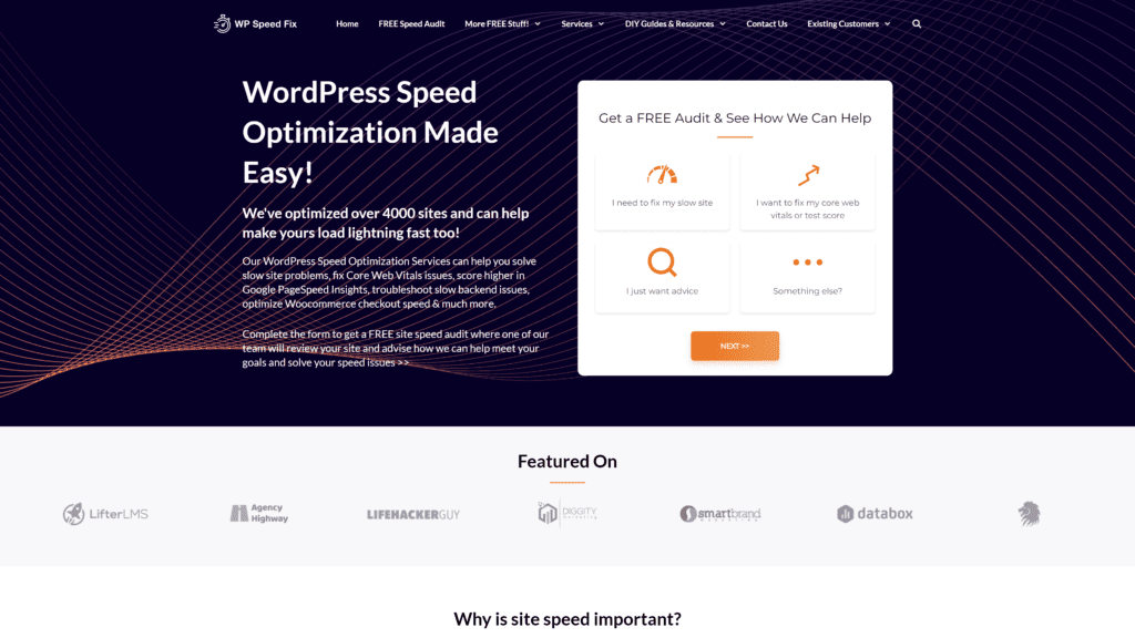 screenshot of the wp speed fix homepage