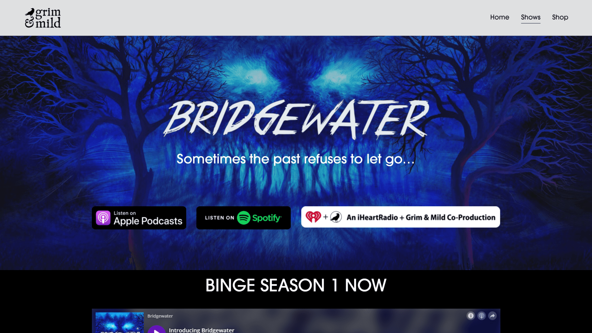 screenshot of the bridgewater homepage
