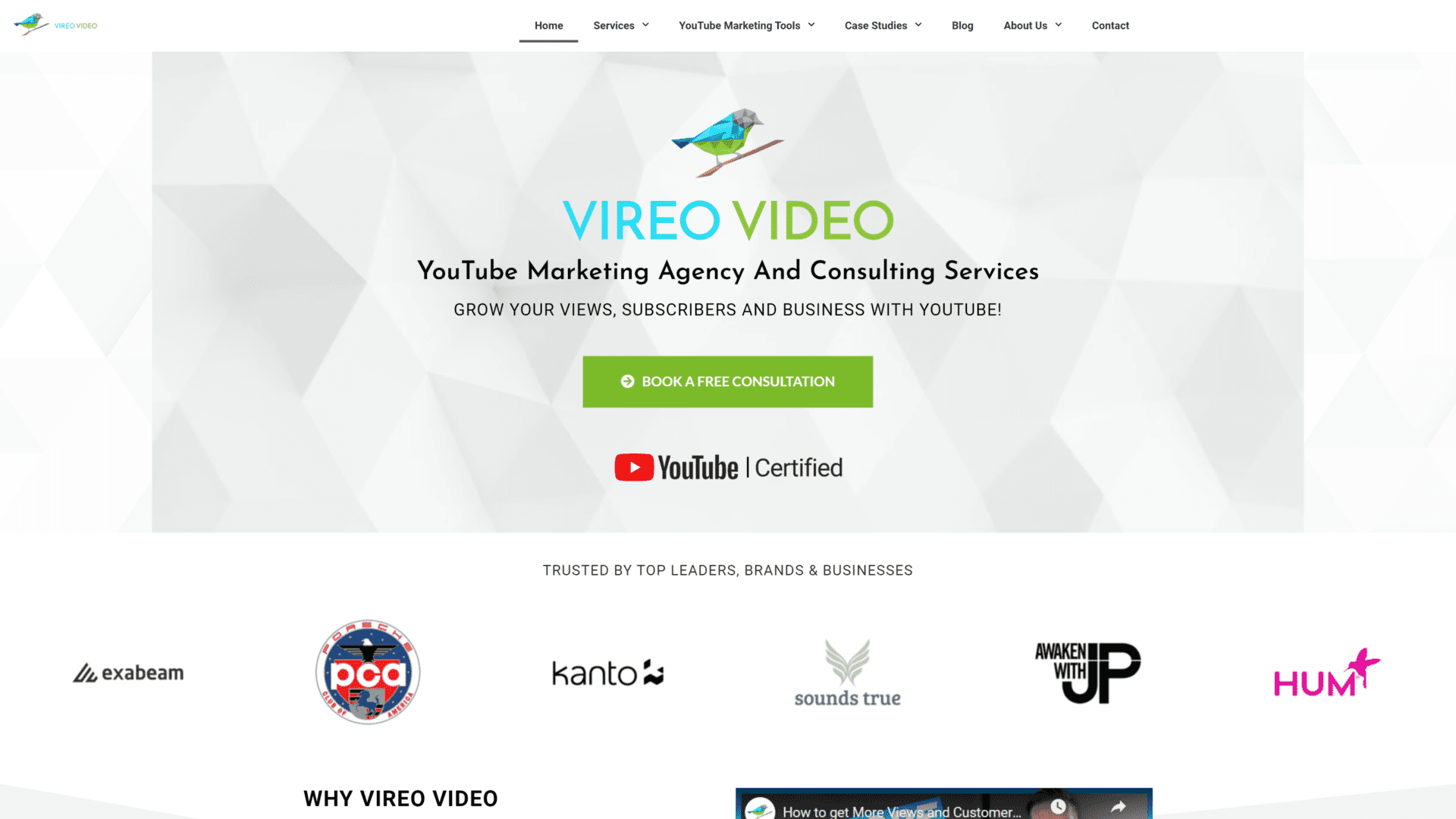 A screenshot of the vireo video homepage
